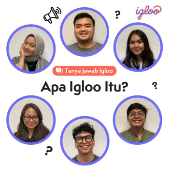 About Igloo